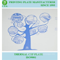 Placa de impressão CTP (P8)